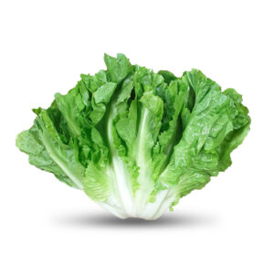 Scarola