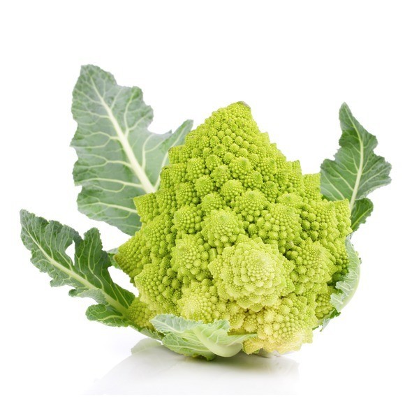 Broccolo Romanesco