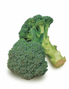 Broccolo Sicialino