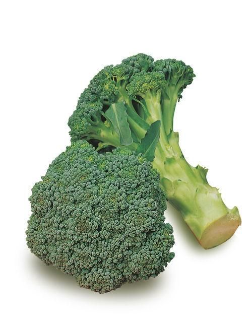 Broccolo Sicialino