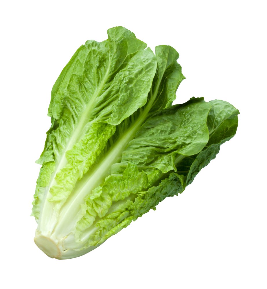 Lattuga