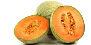 Melone Estivo